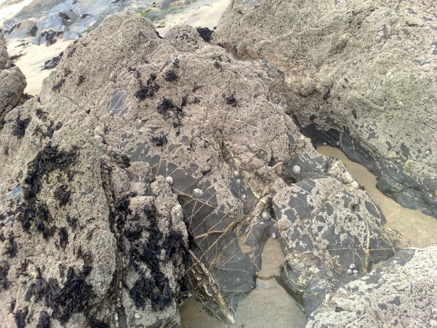 Rocks at Dollar Cove
