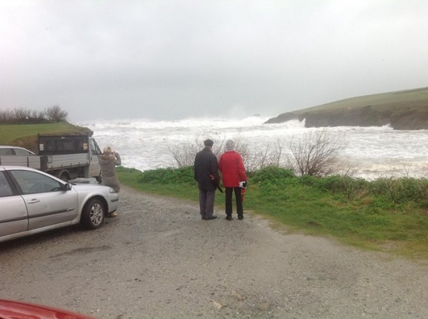 Madrips completely covered