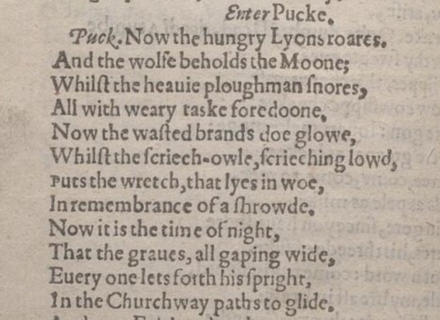 Word(s) of the day: “scréachóg reilige” - ‘screecher of the cemetery’; Irish name for the barn owl. Also “cailleach-oidhche ghea