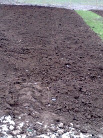 ... Allotment transformed ....