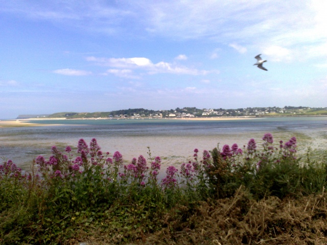 View from Iron Bridge - Padstow, 2014