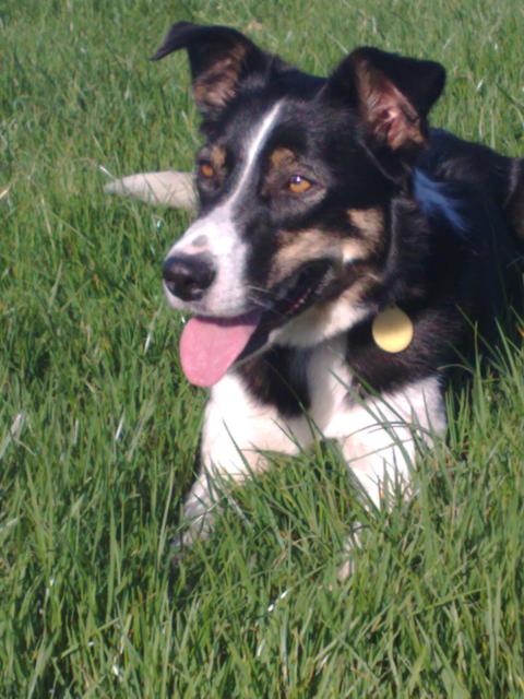 Astra - November 2008