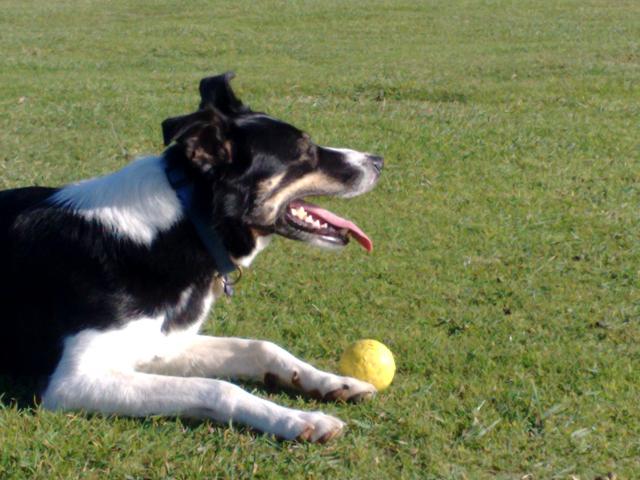 Astra at Godrevy 29 Sep 2010